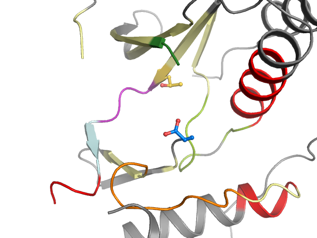 The orthosteric binding pocket
