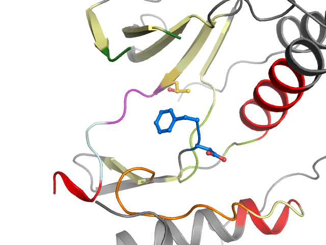 The orthosteric binding pocket