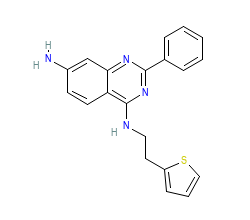 2D structure of the orthosteric ligand