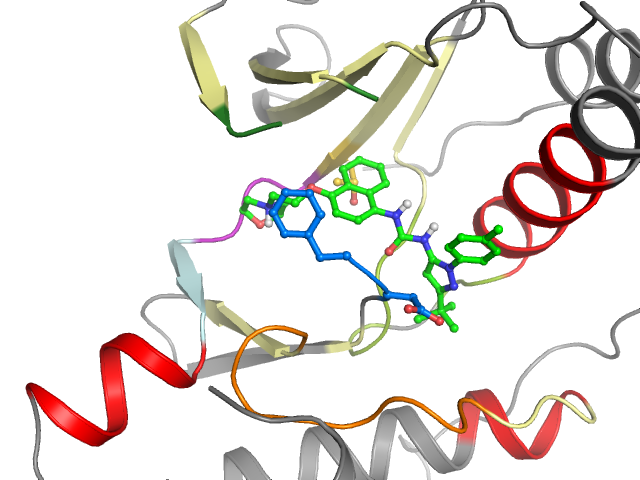 The orthosteric binding pocket