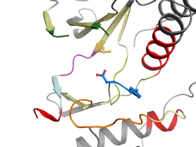 The orthosteric binding pocket