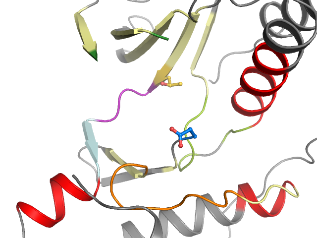 The orthosteric binding pocket