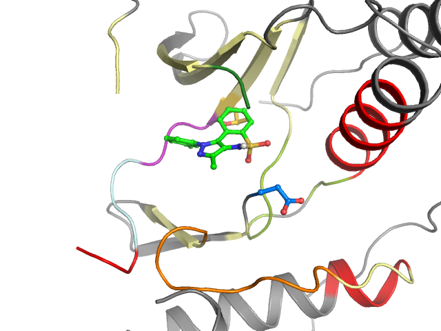 The orthosteric binding pocket