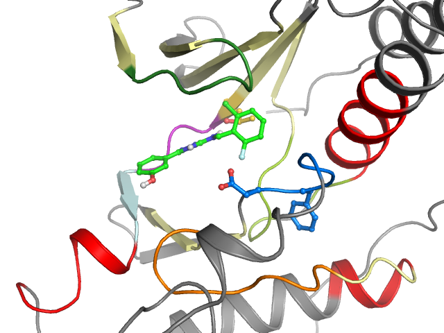 The orthosteric binding pocket