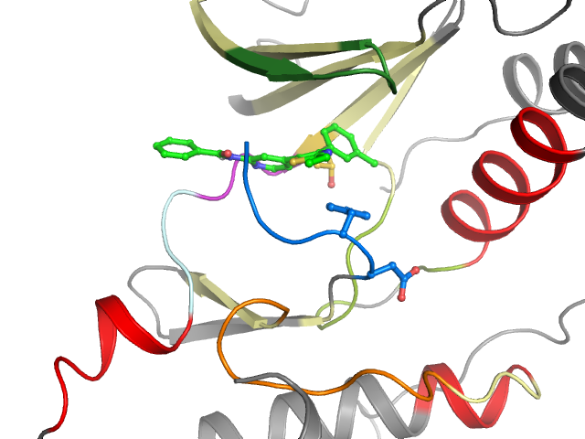 The orthosteric binding pocket