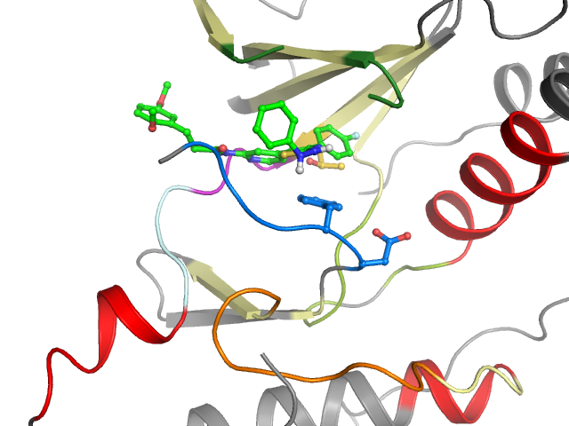 The orthosteric binding pocket
