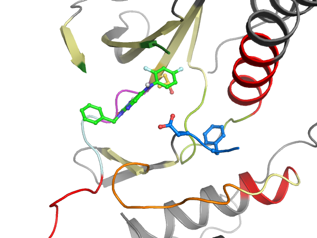 The orthosteric binding pocket