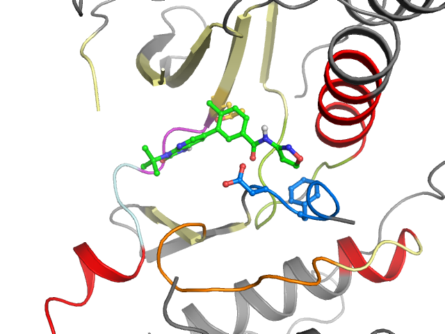 The orthosteric binding pocket