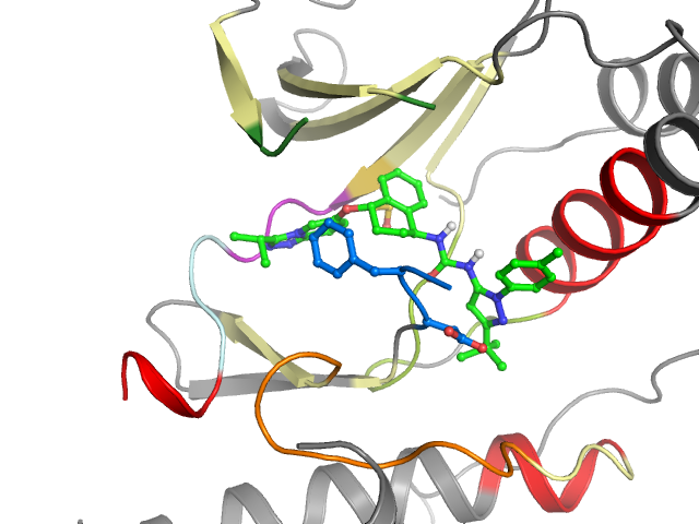The orthosteric binding pocket