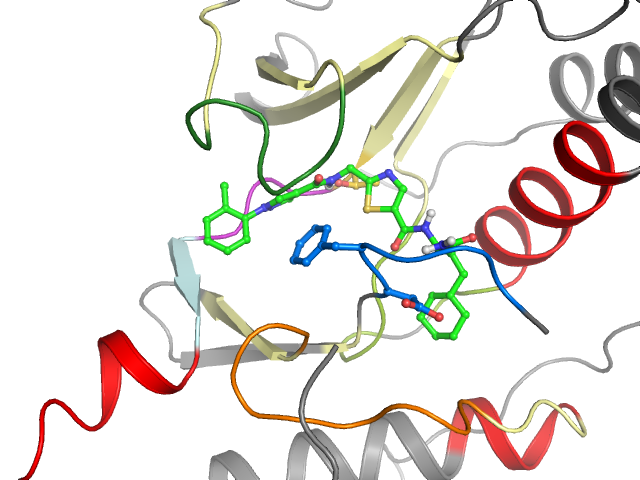 The orthosteric binding pocket