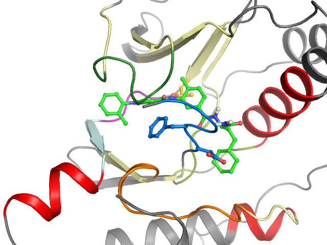 The orthosteric binding pocket