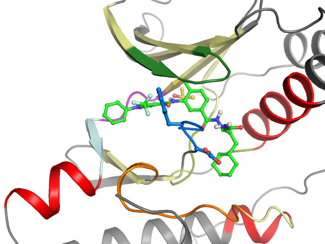The orthosteric binding pocket