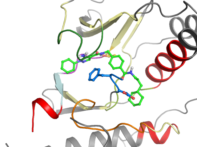The orthosteric binding pocket