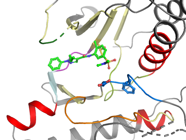 The orthosteric binding pocket