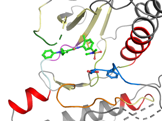 The orthosteric binding pocket