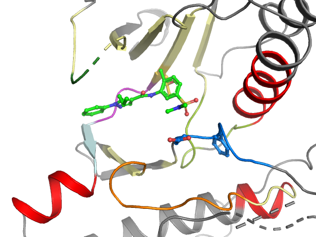 The orthosteric binding pocket
