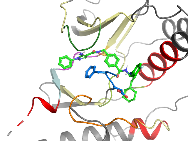 The orthosteric binding pocket