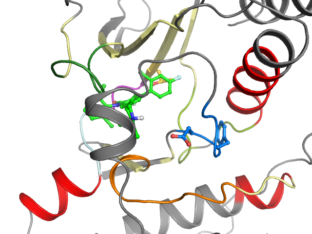 The orthosteric binding pocket