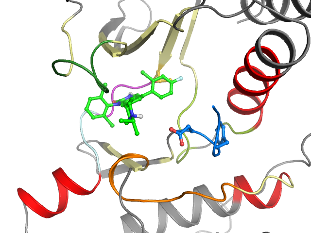 The orthosteric binding pocket