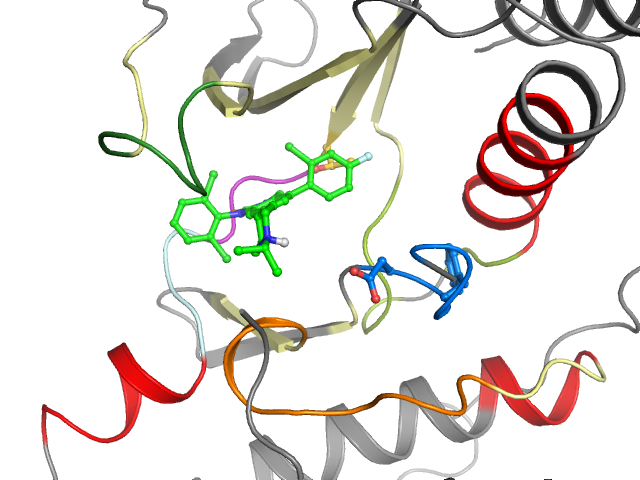 The orthosteric binding pocket