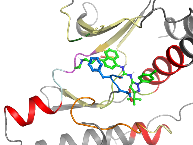 The orthosteric binding pocket