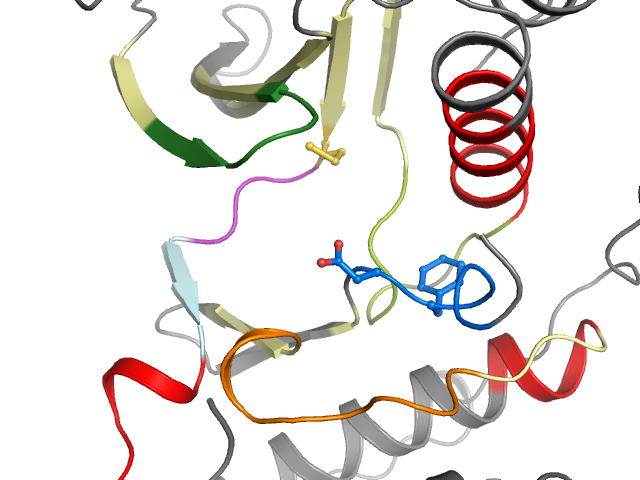 The orthosteric binding pocket