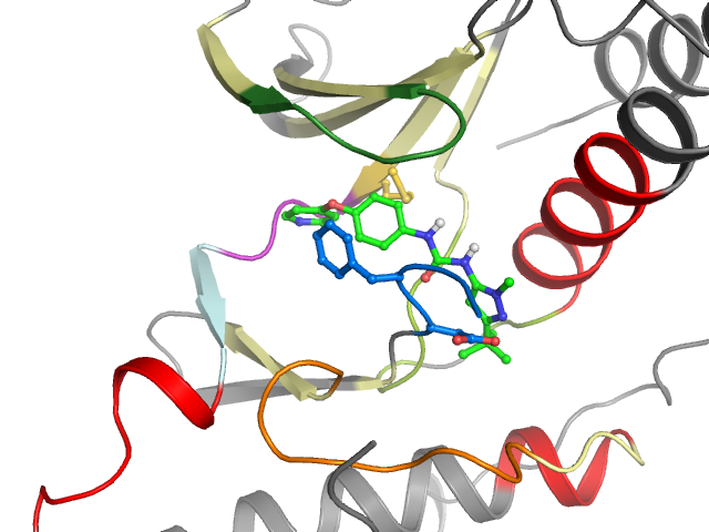 The orthosteric binding pocket