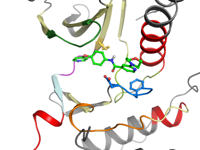 The orthosteric binding pocket