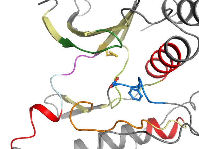 The orthosteric binding pocket