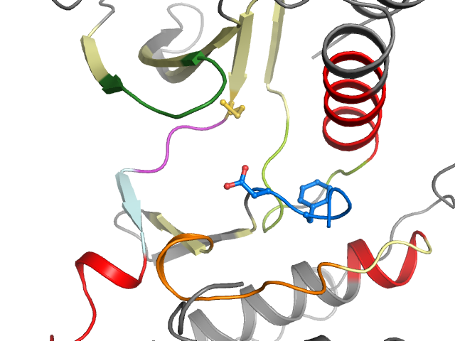 The orthosteric binding pocket