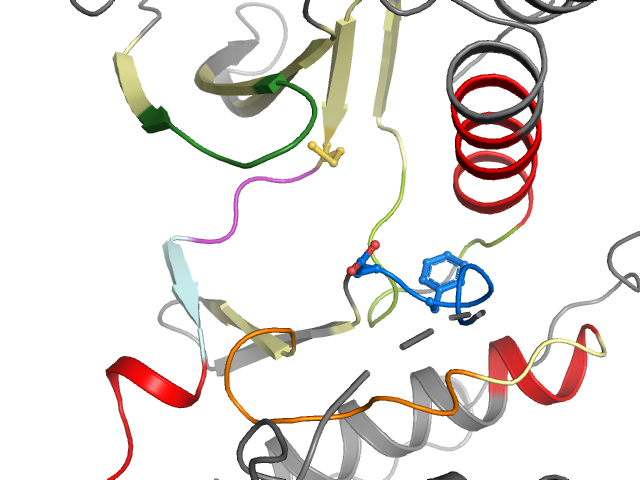 The orthosteric binding pocket
