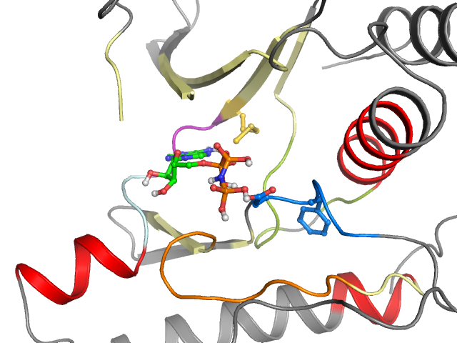 The orthosteric binding pocket