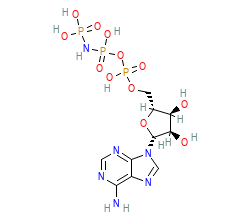 2D structure of the orthosteric ligand