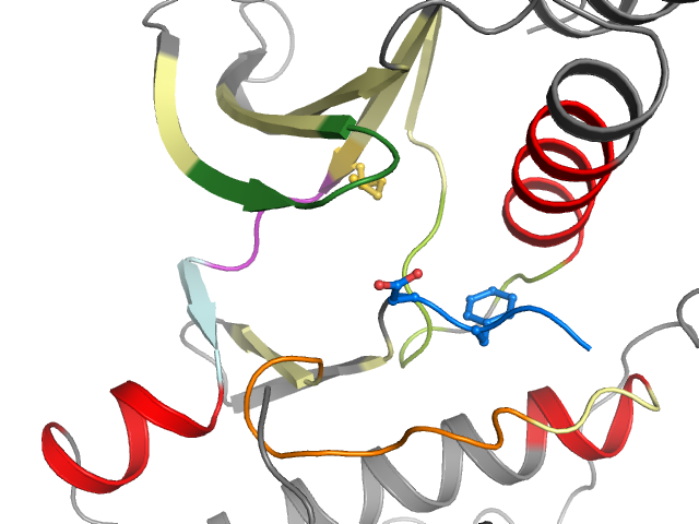 The orthosteric binding pocket