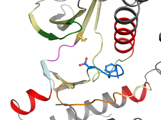 The orthosteric binding pocket