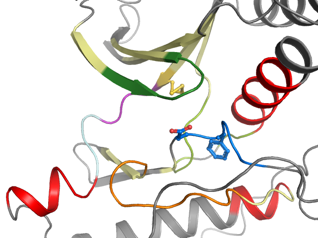 The orthosteric binding pocket