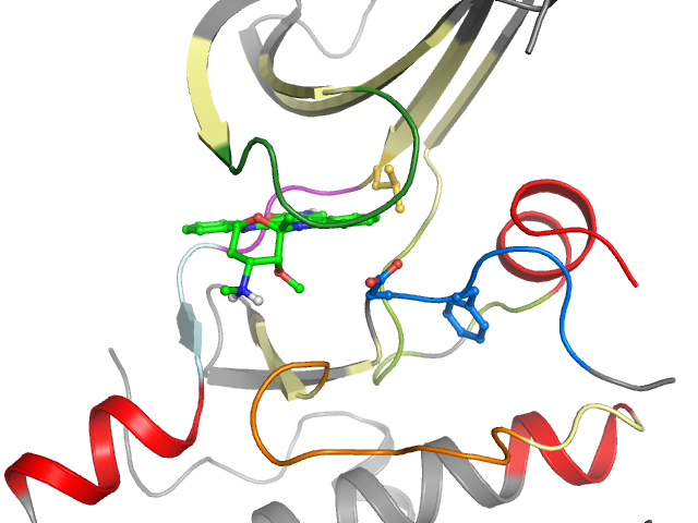 The orthosteric binding pocket