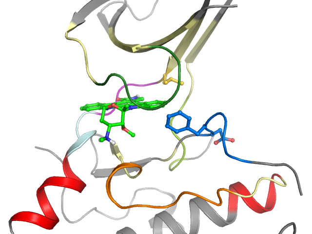 The orthosteric binding pocket