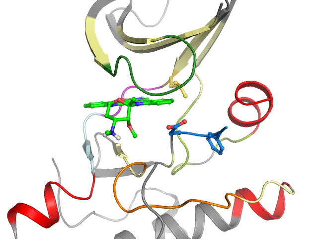 The orthosteric binding pocket