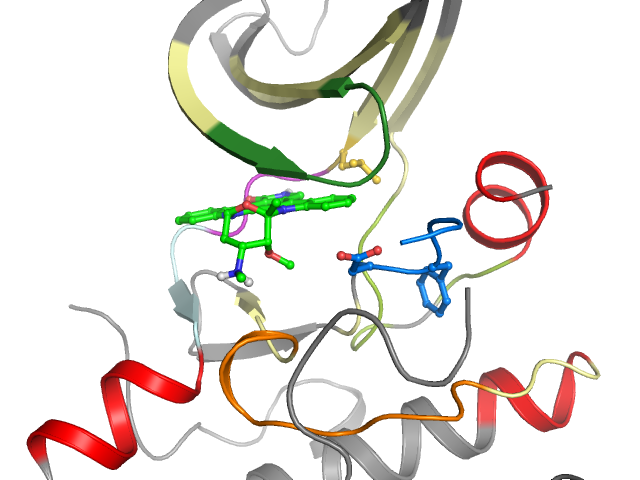 The orthosteric binding pocket