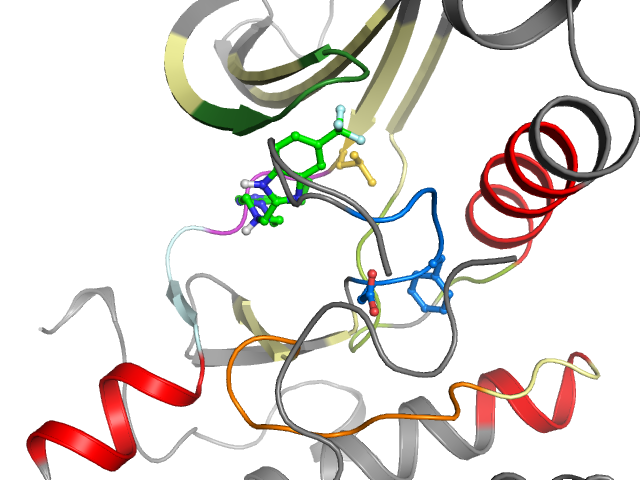 The orthosteric binding pocket