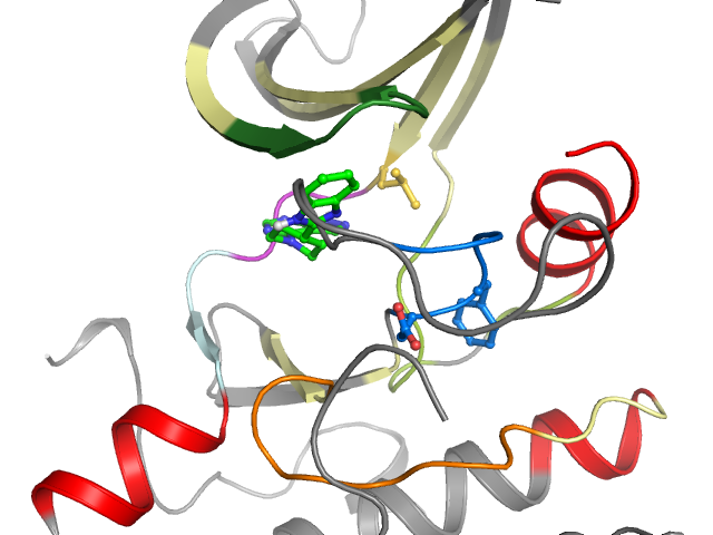 The orthosteric binding pocket