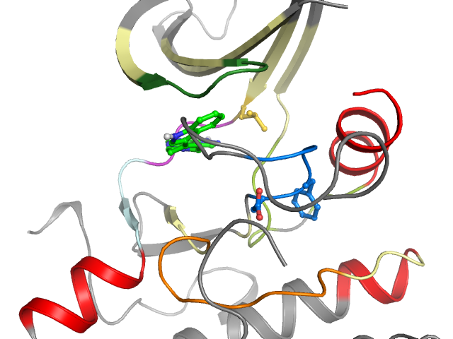 The orthosteric binding pocket