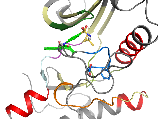 The orthosteric binding pocket