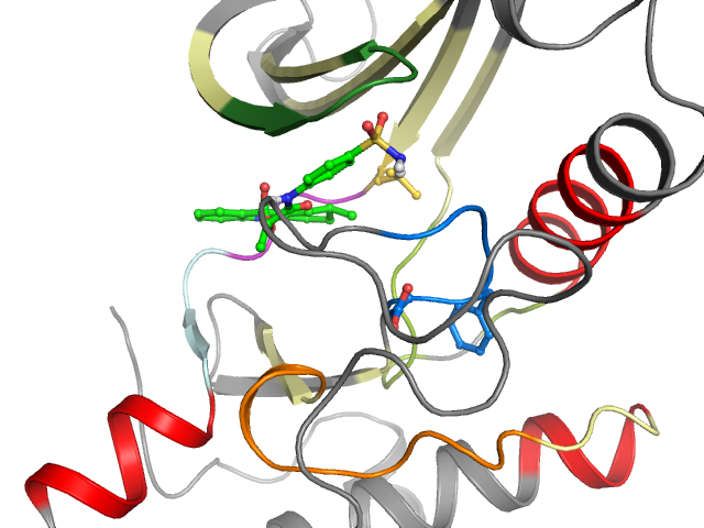 The orthosteric binding pocket