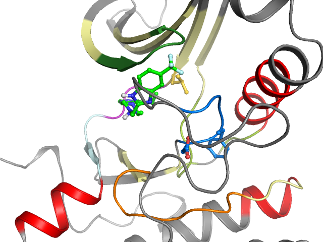 The orthosteric binding pocket