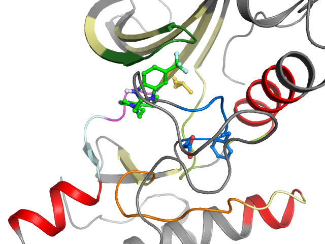 The orthosteric binding pocket