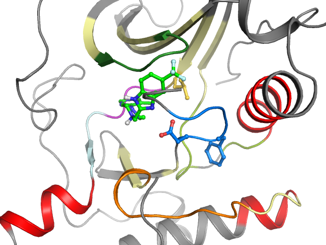 The orthosteric binding pocket