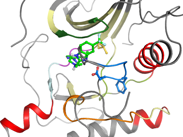 The orthosteric binding pocket