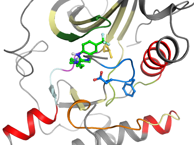 The orthosteric binding pocket